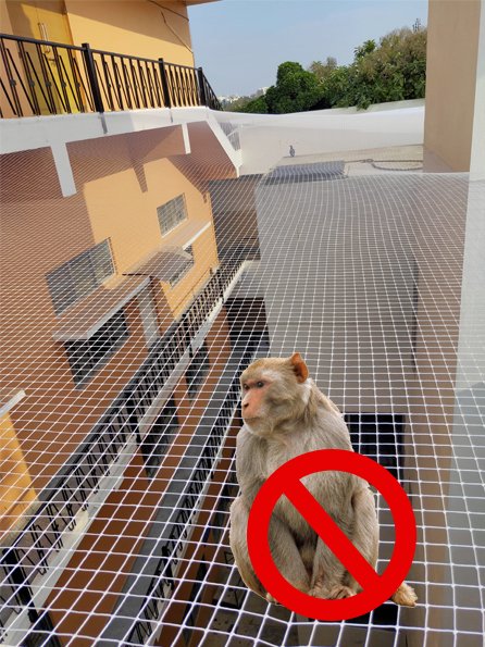 Monkey Safety Nets Coimbatore