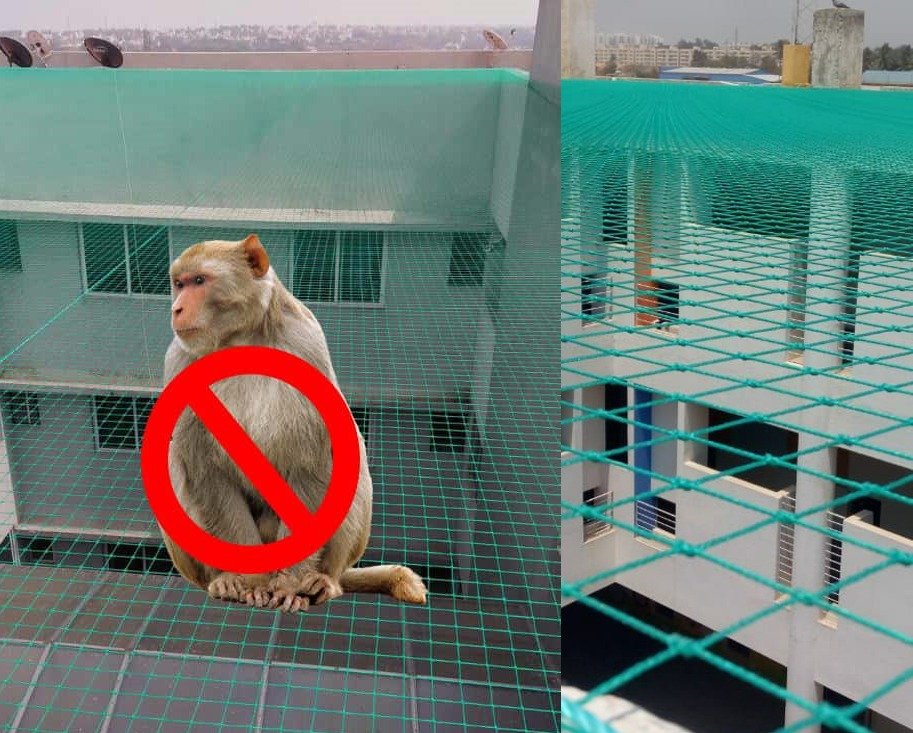 Monkey Safety Net Installation Coimbatore